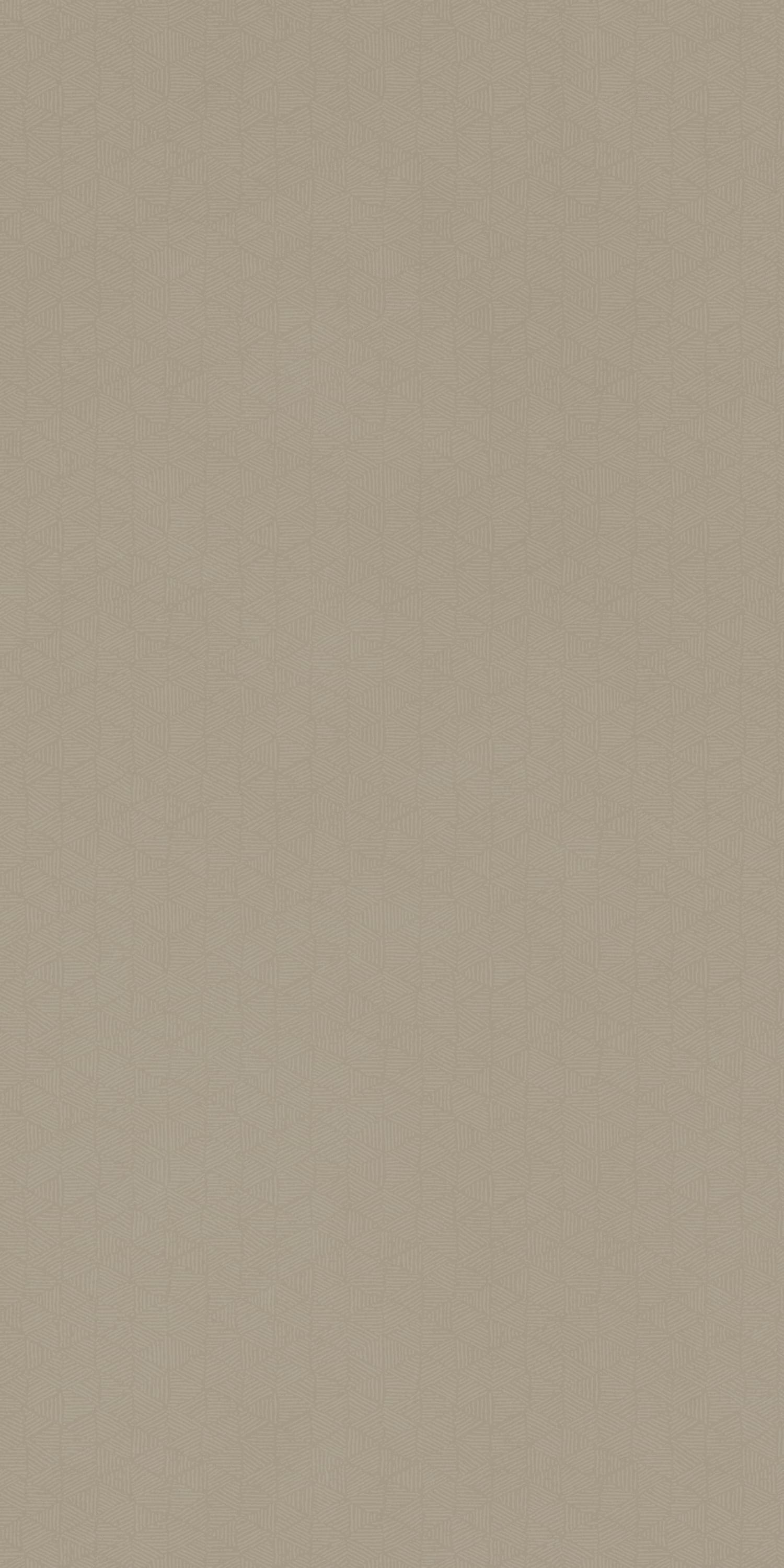 星棱